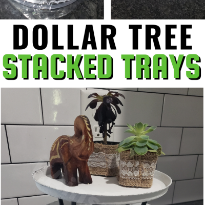 DOLLAR TREE STACKED TRAYS